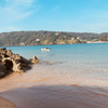 A visit to the Beach is good for your mental health