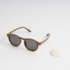 Splat Cove Sunglasses