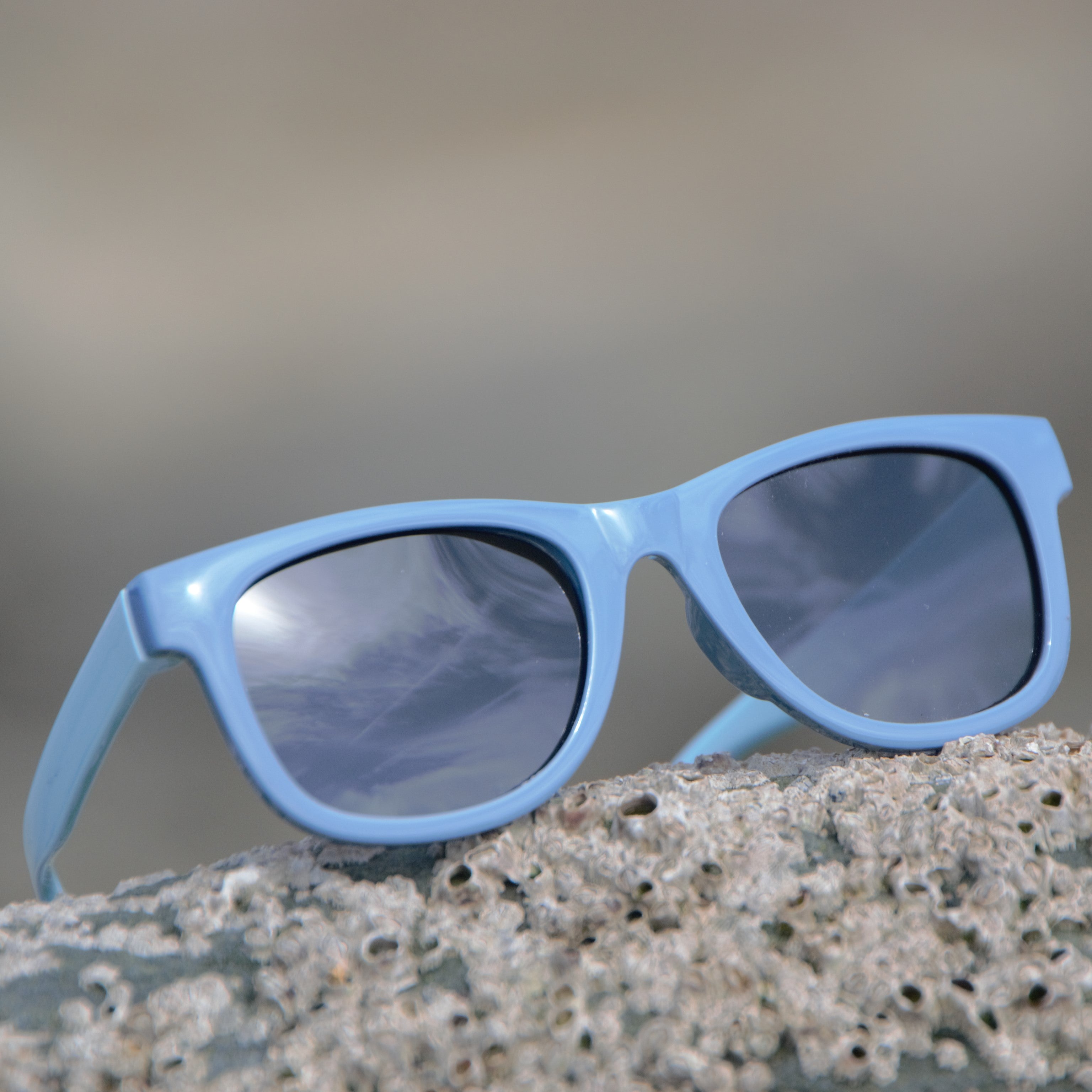 Sunny Cove Toddler Sunglasses